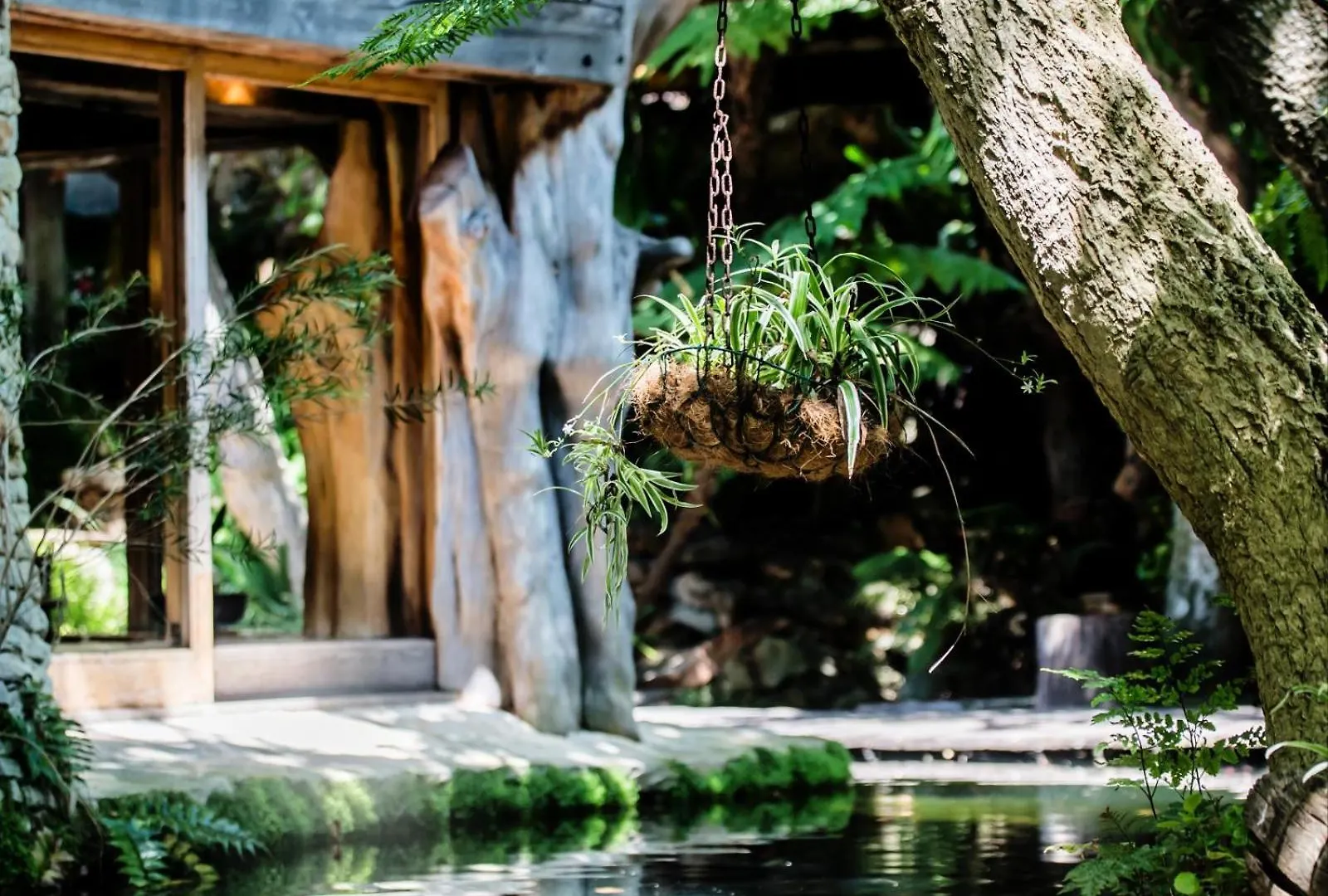 Pensión Wonderland Boutique Guesthouse & Spa Hout Bay Sudáfrica
