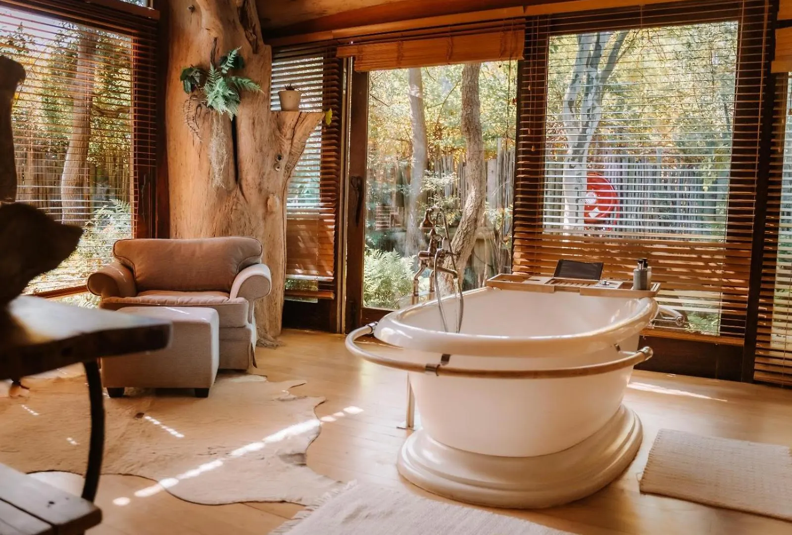 Pensión Wonderland Boutique Guesthouse & Spa Hout Bay Sudáfrica